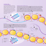 CaNCer aND THe ePIGeNOMe