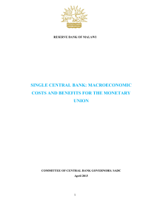 single central bank: macroeconomic costs and benefits for the