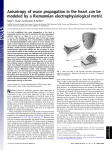 Anisotropy of wave propagation in the heart can be modeled by a
