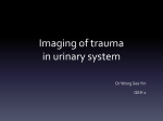Imaging of trauma in urinary system