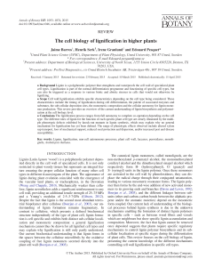 The cell biology of lignification in higher plants