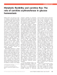 Metabolic flexibility and carnitine flux: The role of carnitine