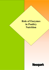 Role of Enzymes in Poultry Nutrition