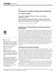 Are Human Intestinal Eukaryotes Beneficial or Commensals?