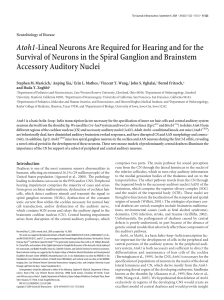 Atoh1-Lineal Neurons Are Required for Hearing and for the Survival