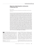 Minireview: Global Regulation and Dynamics of Ribonucleic Acid