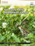 Appreciating Reptiles and Amphibians in Nature