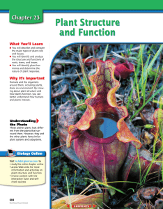 Chapter 23: Plant Structure and Function