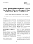 What the Distribution of Cell Lengths in the Root Meristem Does and