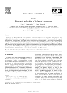 Biogenesis and origin of thylakoid membranes