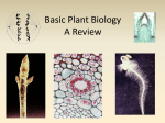 Lecture 1d Plant Diversity, Basic Chemistry