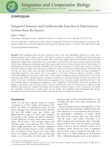 Integrated Immune and Cardiovascular Function in Pancrustacea