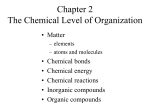 The Chemical Level of Organization