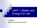 UNIT 1: Matter and Energy For Life