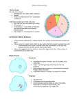 Mitosis and the Cell Cycle The Cell Cycle Why Do Cells Divide