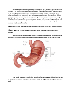 Digestion and Ingestion