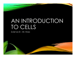 an introduction to cells