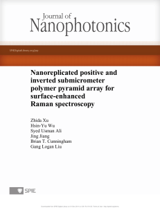 Nanoreplicated positive and inverted submicrometer polymer