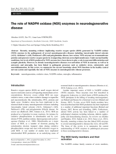 The role of NADPH oxidase (NOX) enzymes in neurodegenerative