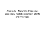 Alkaloids - Faculty Pages