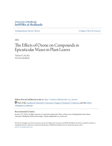 The Effects of Ozone on Compounds in Epicuticular Waxes in Plant