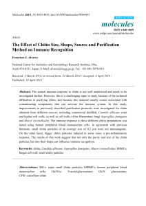 The Effect of Chitin Size, Shape, Source and Purification Method on