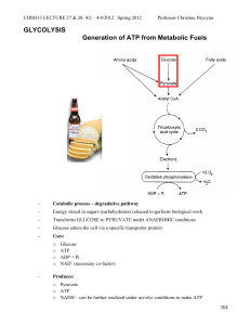 GLYCOLYSIS Generation of ATP from Metabolic Fuels