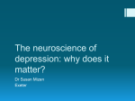 The neuroscience of depression: why does it matter?