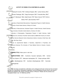 Activity of Krebs cycle enzymes in mdx mice - Genoma