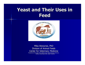 Yeast and Their Uses in Feed