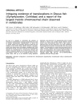 Intriguing evidence of translocations in Discus fish