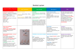 Skeletal system