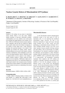 Nuclear Genetic Defects of Mitochondrial ATP Synthase