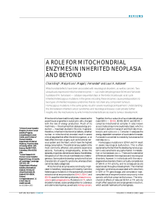 a role for mitochondrial enzymes in inherited neoplasia and beyond