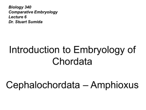 Introduction to Embryology of Chordata