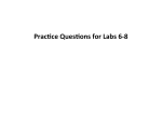 Practice QUiz Labs 6