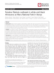 Putative filariosis outbreak in white and black rhinoceros at