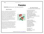 Pansies - English Worksheets Land