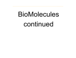 BioMolecules continued
