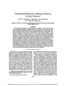 Chromosomal Dichotomy in Blood and Marrow