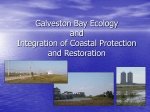 Galveston Bay Ecology and Integration of Coastal Protection and