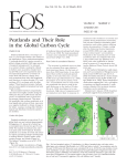 Peatlands and Their Role in the Global Carbon Cycle