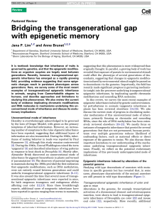 Bridging the transgenerational gap with epigenetic memory