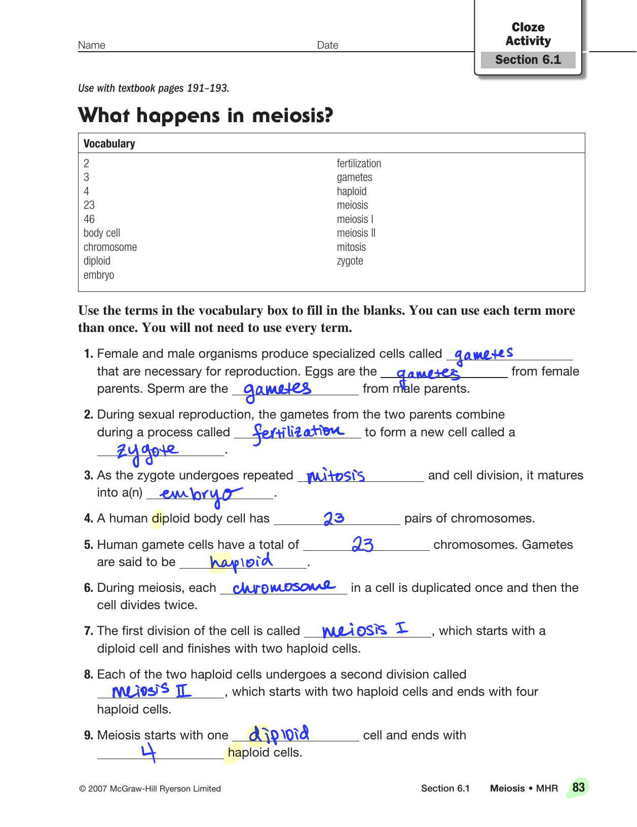 What happens in meiosis? Pertaining To Meiosis Worksheet Vocabulary Answers