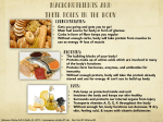 Macronutrients and Their Roles in the Body