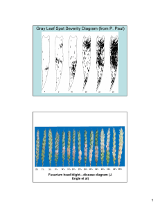 Gray Leaf Spot Severity Diagram (from P. Paul)