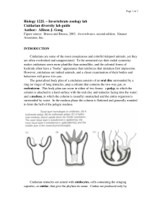 Biology 122L – Invertebrate zoology lab Cnidarian diversity lab