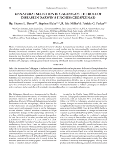 the role of disease in darwin`s finches