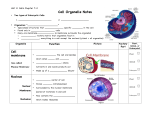 Cells Chapter 7-2 Cell Organelle Notes