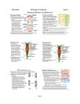 Slides (pdf format)